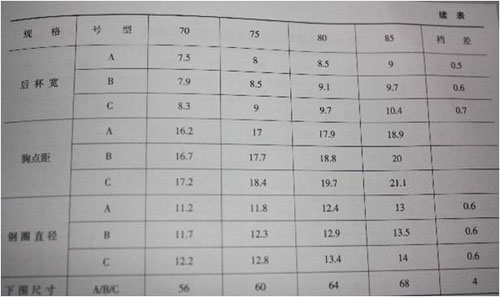 内衣号型与规格之文胸的号型和规格