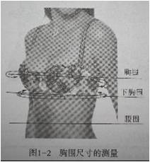 内衣号型与规格之文胸的号型和规格