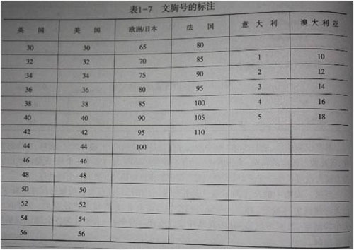 内衣号型与规格之文胸的号型和规格