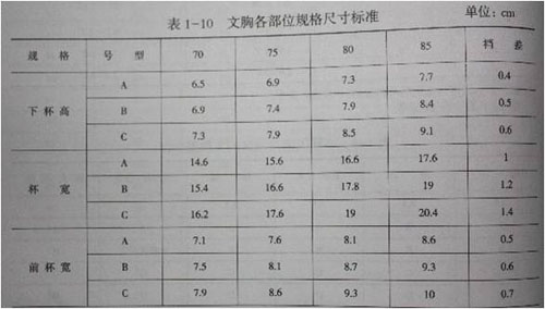 内衣号型与规格之文胸的号型和规格