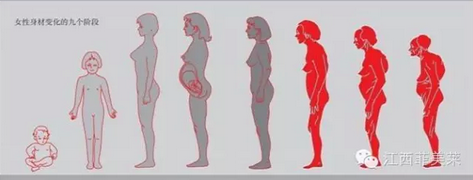 每个热爱健康美丽的女性都应该拥有健康纤体压力袜