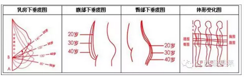 每个热爱健康美丽的女性都应该拥有健康纤体压力袜
