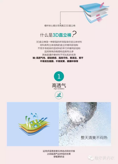 维尔美内衣教你认识3D直立棉