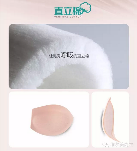 维尔美内衣教你认识3D直立棉