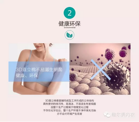 维尔美内衣教你认识3D直立棉