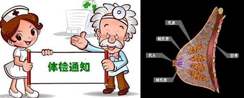 女人，如何保护自己的乳房