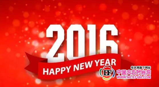 丽人诗歌内衣与您一起迎接崭新的2016