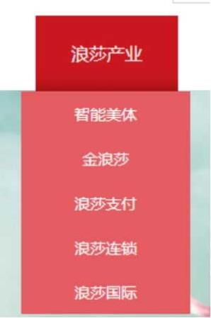 浪莎内衣官网_＂内衣第一股＂久当＂铁公鸡＂高压下浪莎有意＂拔毛＂(2)