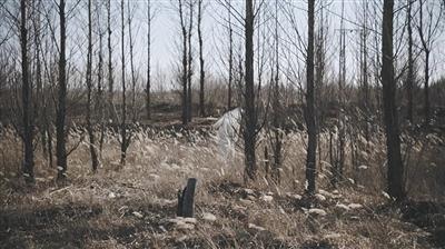 画内衣上街_逆天了！美女人体彩绘上街竟无人发现