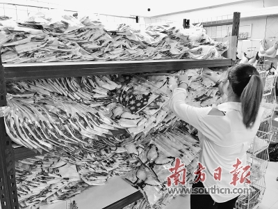 汕头内衣_“都市丽人”内衣产业集群项目将落户汕头潮阳