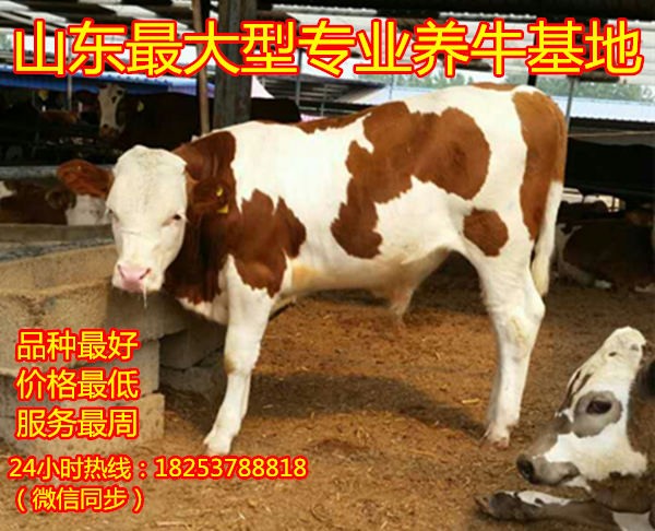 1元内衣批发_双十一江苏灌云情趣内衣销售超1.5亿元,将建情趣特色小镇(2)