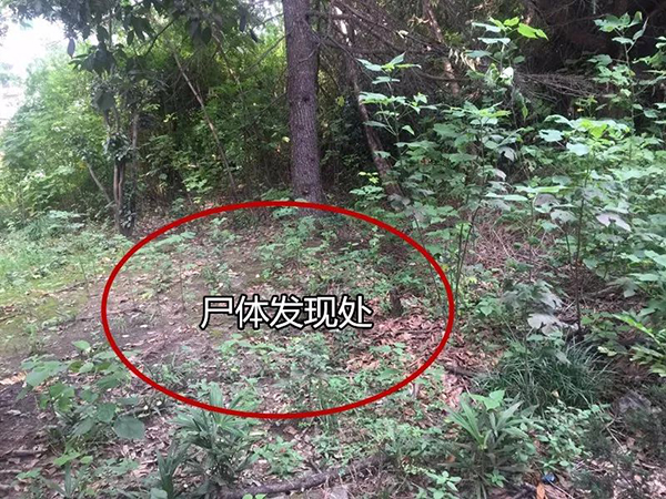 12岁女儿童内衣_又现百草枯！湖北12岁女童误将百草枯当止咳药喝下